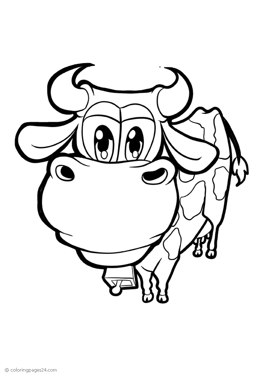 Vacas e Bois 11