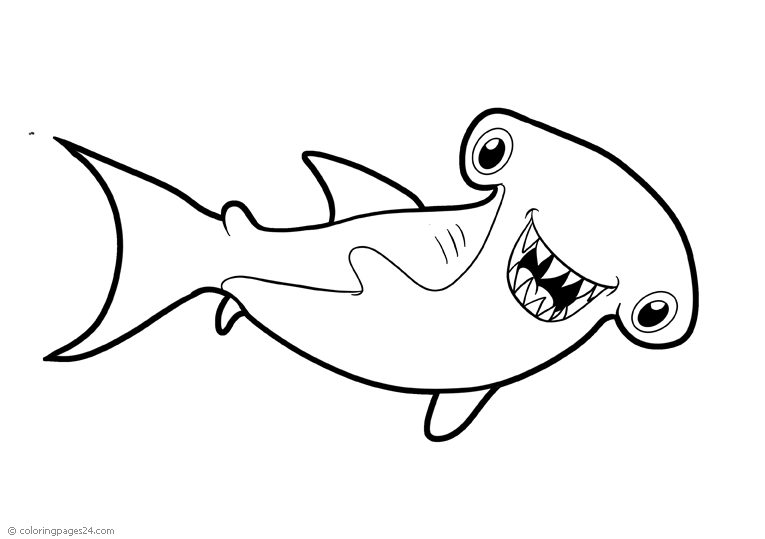 Tubarões e Raias 10