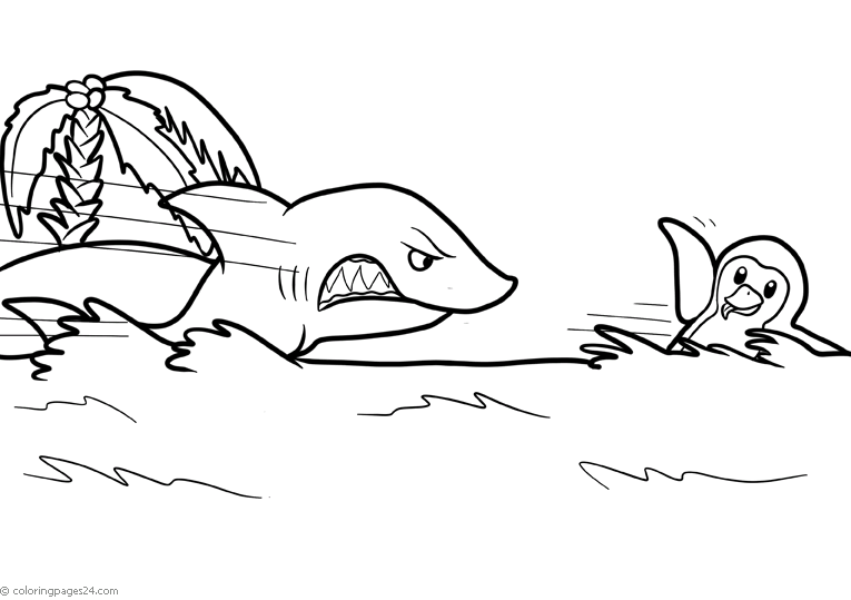 Tubarões e Raias 11