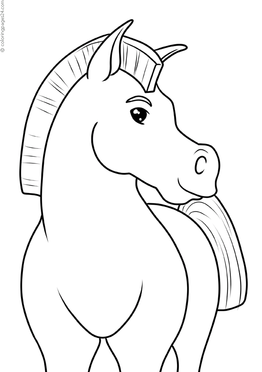 Cavalos-Marinhos 69