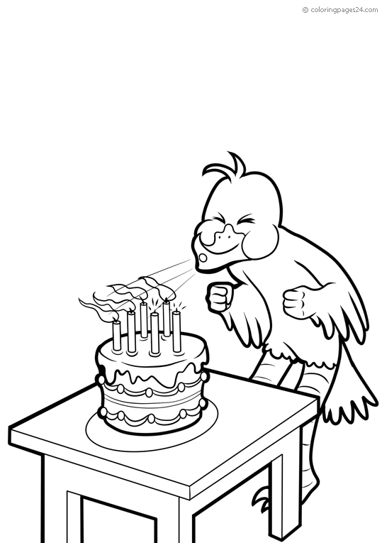 Aniversários 29