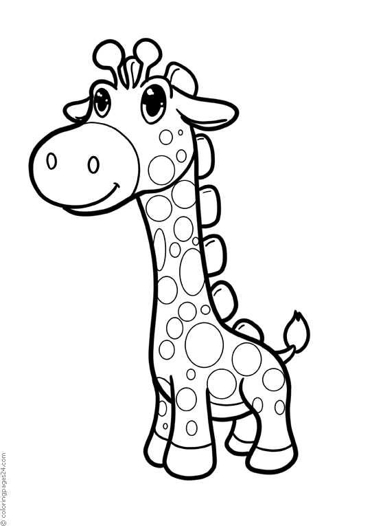 Girafas 20