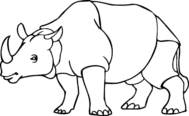 Rinocerontes 1