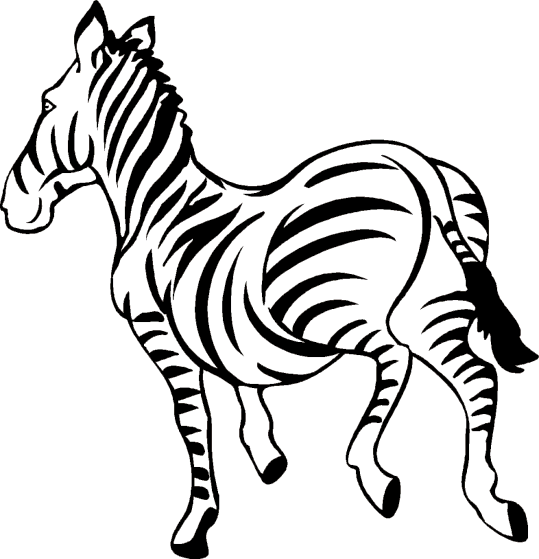 Zebras 1