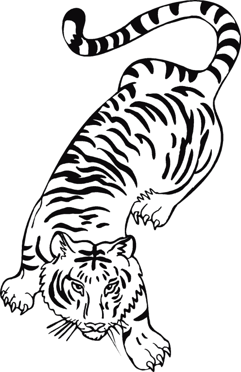 Tigres 1