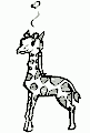 Girafas - 3