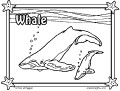 Baleias - 3