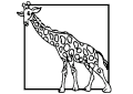 Girafas - 7