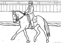 Corrida de Cavalos - 9