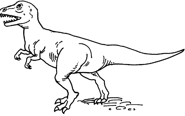 Dinossauros 18