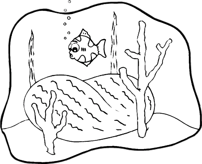 Peixes 117