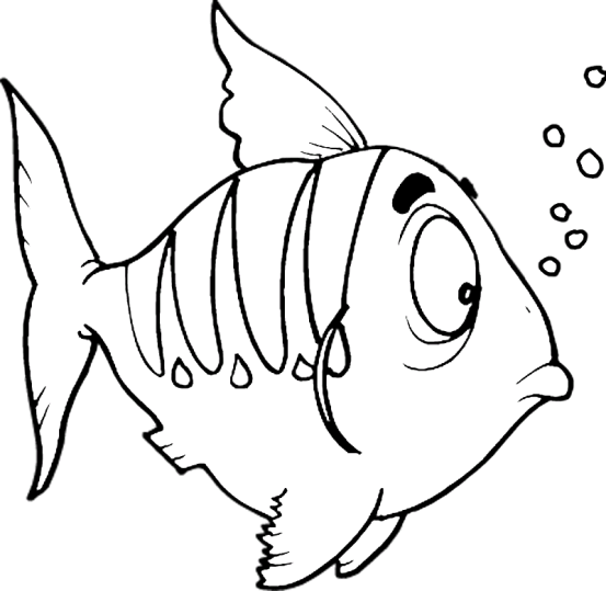 Peixes 119