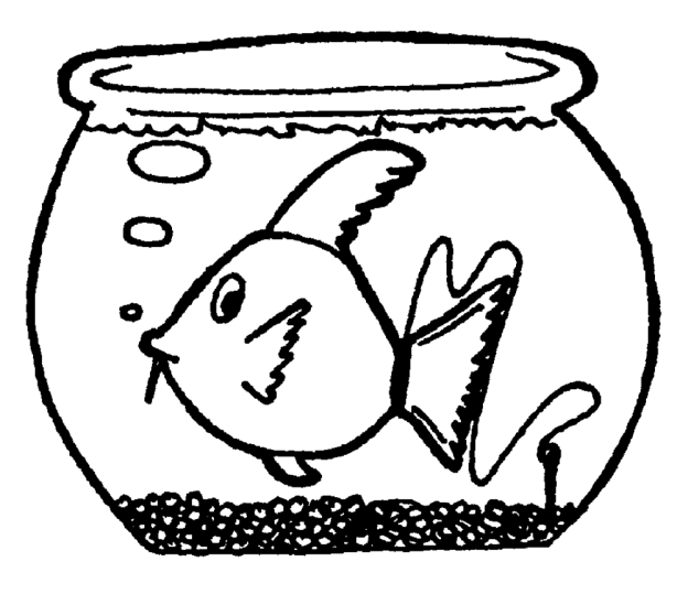 Peixes 121