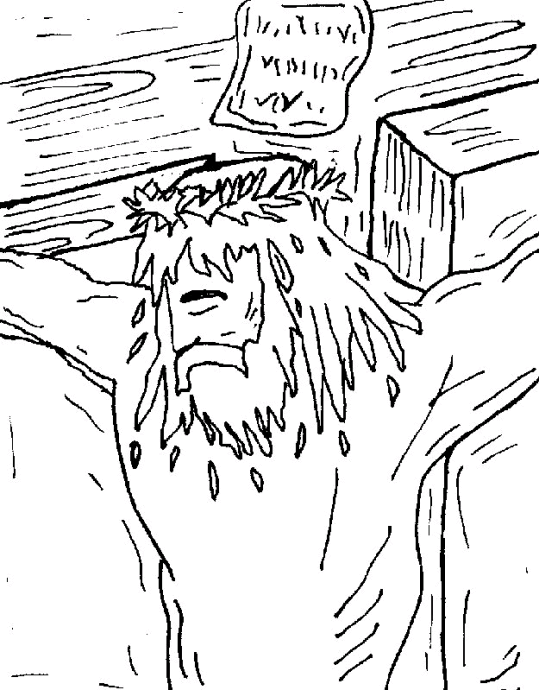 Novo Testamento 5