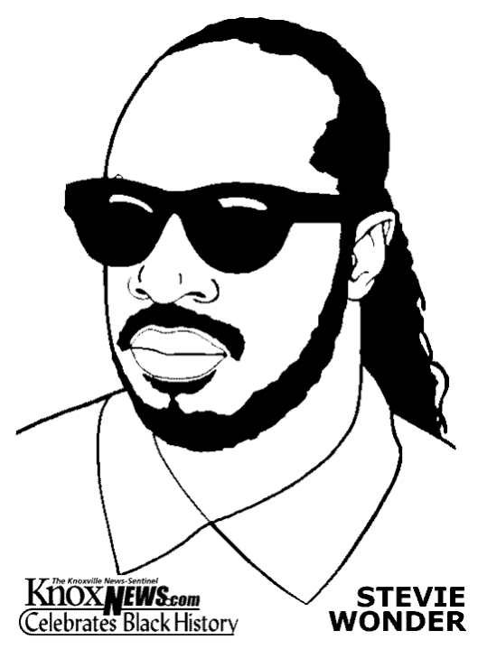 Celebridade Musicos Stevie Wonder