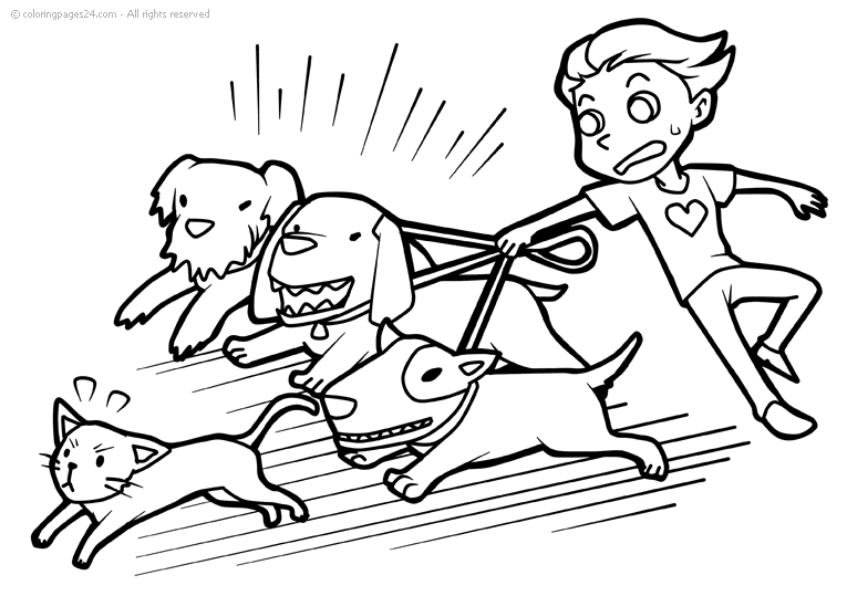 Cachorros 54