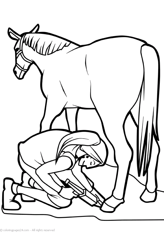 Cavalos-Marinhos 53