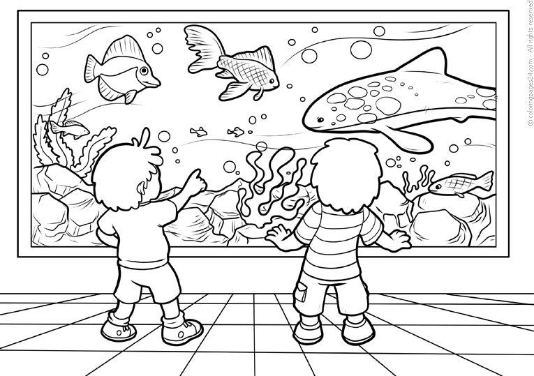 Peixes 135
