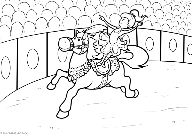 Cavalos-Marinhos 59
