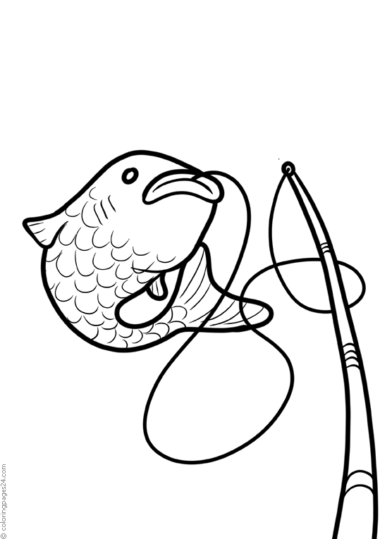 Pescador 12
