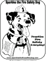 Bombeiros - 5